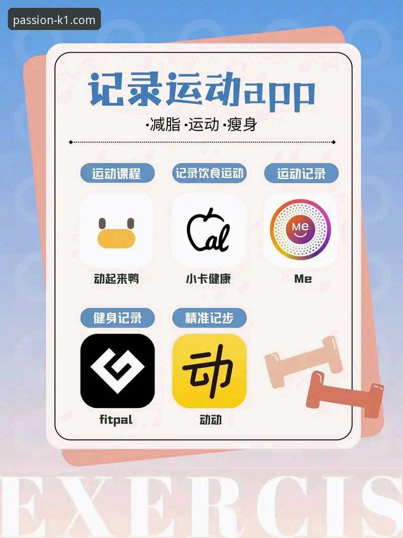 K1体育平台APP使用教程：从下载到实时投注的完整操作指南